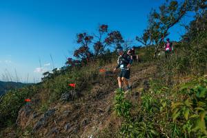 BIB: 
                            <button type="button" onclick="openModal(28098423)" class="btn btn-primary btn-sm float-right btn-popup" data-toggle="modal" data-target=".modal-high-quality">
                        <i class="fas fa-shopping-cart"></i> Add to Cart
                    </button>
                                            <button type="button" onclick="isThisMe(28098423, true)" class="btn btn-success btn-sm float-right btn-popup btn-isme hidden" data-toggle="tooltip" data-placement="bottom" title="นี่คือรูปของคุณใช่ไหม คลิกที่นี่เพื่อเอาเข้าอัลบั้ม">
                        <i class="fas fa-plus"></i> Add to album
                    </button>
                    <button type="button" onclick="isThisMe(28098423, false)" class="btn btn-warning btn-sm float-right btn-popup btn-isnotme hidden">
                        <i class="fas fa-ban"></i> Remove from album
                    </button>