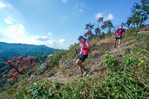 BIB: 
                            <button type="button" onclick="openModal(28098097)" class="btn btn-primary btn-sm float-right btn-popup" data-toggle="modal" data-target=".modal-high-quality">
                        <i class="fas fa-shopping-cart"></i> Add to Cart
                    </button>
                                            <button type="button" onclick="isThisMe(28098097, true)" class="btn btn-success btn-sm float-right btn-popup btn-isme hidden" data-toggle="tooltip" data-placement="bottom" title="นี่คือรูปของคุณใช่ไหม คลิกที่นี่เพื่อเอาเข้าอัลบั้ม">
                        <i class="fas fa-plus"></i> Add to album
                    </button>
                    <button type="button" onclick="isThisMe(28098097, false)" class="btn btn-warning btn-sm float-right btn-popup btn-isnotme hidden">
                        <i class="fas fa-ban"></i> Remove from album
                    </button>