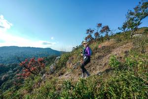 BIB: 
                            <button type="button" onclick="openModal(28098494)" class="btn btn-primary btn-sm float-right btn-popup" data-toggle="modal" data-target=".modal-high-quality">
                        <i class="fas fa-shopping-cart"></i> Add to Cart
                    </button>
                                            <button type="button" onclick="isThisMe(28098494, true)" class="btn btn-success btn-sm float-right btn-popup btn-isme hidden" data-toggle="tooltip" data-placement="bottom" title="นี่คือรูปของคุณใช่ไหม คลิกที่นี่เพื่อเอาเข้าอัลบั้ม">
                        <i class="fas fa-plus"></i> Add to album
                    </button>
                    <button type="button" onclick="isThisMe(28098494, false)" class="btn btn-warning btn-sm float-right btn-popup btn-isnotme hidden">
                        <i class="fas fa-ban"></i> Remove from album
                    </button>