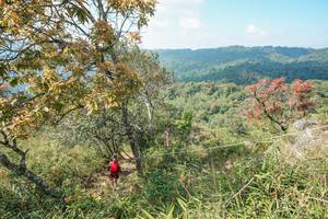 BIB: 
                            <button type="button" onclick="openModal(28095734)" class="btn btn-primary btn-sm float-right btn-popup" data-toggle="modal" data-target=".modal-high-quality">
                        <i class="fas fa-shopping-cart"></i> Add to Cart
                    </button>
                                            <button type="button" onclick="isThisMe(28095734, true)" class="btn btn-success btn-sm float-right btn-popup btn-isme hidden" data-toggle="tooltip" data-placement="bottom" title="นี่คือรูปของคุณใช่ไหม คลิกที่นี่เพื่อเอาเข้าอัลบั้ม">
                        <i class="fas fa-plus"></i> Add to album
                    </button>
                    <button type="button" onclick="isThisMe(28095734, false)" class="btn btn-warning btn-sm float-right btn-popup btn-isnotme hidden">
                        <i class="fas fa-ban"></i> Remove from album
                    </button>