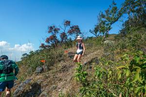 BIB: 
                            <button type="button" onclick="openModal(28096662)" class="btn btn-primary btn-sm float-right btn-popup" data-toggle="modal" data-target=".modal-high-quality">
                        <i class="fas fa-shopping-cart"></i> Add to Cart
                    </button>
                                            <button type="button" onclick="isThisMe(28096662, true)" class="btn btn-success btn-sm float-right btn-popup btn-isme hidden" data-toggle="tooltip" data-placement="bottom" title="นี่คือรูปของคุณใช่ไหม คลิกที่นี่เพื่อเอาเข้าอัลบั้ม">
                        <i class="fas fa-plus"></i> Add to album
                    </button>
                    <button type="button" onclick="isThisMe(28096662, false)" class="btn btn-warning btn-sm float-right btn-popup btn-isnotme hidden">
                        <i class="fas fa-ban"></i> Remove from album
                    </button>