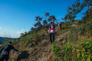 BIB: 
                            <button type="button" onclick="openModal(28098449)" class="btn btn-primary btn-sm float-right btn-popup" data-toggle="modal" data-target=".modal-high-quality">
                        <i class="fas fa-shopping-cart"></i> Add to Cart
                    </button>
                                            <button type="button" onclick="isThisMe(28098449, true)" class="btn btn-success btn-sm float-right btn-popup btn-isme hidden" data-toggle="tooltip" data-placement="bottom" title="นี่คือรูปของคุณใช่ไหม คลิกที่นี่เพื่อเอาเข้าอัลบั้ม">
                        <i class="fas fa-plus"></i> Add to album
                    </button>
                    <button type="button" onclick="isThisMe(28098449, false)" class="btn btn-warning btn-sm float-right btn-popup btn-isnotme hidden">
                        <i class="fas fa-ban"></i> Remove from album
                    </button>