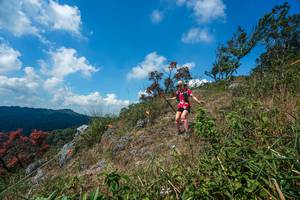 BIB: 
                            <button type="button" onclick="openModal(28096095)" class="btn btn-primary btn-sm float-right btn-popup" data-toggle="modal" data-target=".modal-high-quality">
                        <i class="fas fa-shopping-cart"></i> Add to Cart
                    </button>
                                            <button type="button" onclick="isThisMe(28096095, true)" class="btn btn-success btn-sm float-right btn-popup btn-isme hidden" data-toggle="tooltip" data-placement="bottom" title="นี่คือรูปของคุณใช่ไหม คลิกที่นี่เพื่อเอาเข้าอัลบั้ม">
                        <i class="fas fa-plus"></i> Add to album
                    </button>
                    <button type="button" onclick="isThisMe(28096095, false)" class="btn btn-warning btn-sm float-right btn-popup btn-isnotme hidden">
                        <i class="fas fa-ban"></i> Remove from album
                    </button>