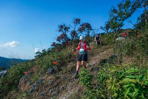 BIB: 
                            <button type="button" onclick="openModal(28098247)" class="btn btn-primary btn-sm float-right btn-popup" data-toggle="modal" data-target=".modal-high-quality">
                        <i class="fas fa-shopping-cart"></i> Add to Cart
                    </button>
                                            <button type="button" onclick="isThisMe(28098247, true)" class="btn btn-success btn-sm float-right btn-popup btn-isme hidden" data-toggle="tooltip" data-placement="bottom" title="นี่คือรูปของคุณใช่ไหม คลิกที่นี่เพื่อเอาเข้าอัลบั้ม">
                        <i class="fas fa-plus"></i> Add to album
                    </button>
                    <button type="button" onclick="isThisMe(28098247, false)" class="btn btn-warning btn-sm float-right btn-popup btn-isnotme hidden">
                        <i class="fas fa-ban"></i> Remove from album
                    </button>