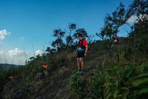 BIB: 
                            <button type="button" onclick="openModal(28097761)" class="btn btn-primary btn-sm float-right btn-popup" data-toggle="modal" data-target=".modal-high-quality">
                        <i class="fas fa-shopping-cart"></i> Add to Cart
                    </button>
                                            <button type="button" onclick="isThisMe(28097761, true)" class="btn btn-success btn-sm float-right btn-popup btn-isme hidden" data-toggle="tooltip" data-placement="bottom" title="นี่คือรูปของคุณใช่ไหม คลิกที่นี่เพื่อเอาเข้าอัลบั้ม">
                        <i class="fas fa-plus"></i> Add to album
                    </button>
                    <button type="button" onclick="isThisMe(28097761, false)" class="btn btn-warning btn-sm float-right btn-popup btn-isnotme hidden">
                        <i class="fas fa-ban"></i> Remove from album
                    </button>