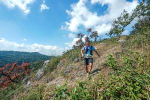 BIB: 
                            <button type="button" onclick="openModal(28096458)" class="btn btn-primary btn-sm float-right btn-popup" data-toggle="modal" data-target=".modal-high-quality">
                        <i class="fas fa-shopping-cart"></i> Add to Cart
                    </button>
                                            <button type="button" onclick="isThisMe(28096458, true)" class="btn btn-success btn-sm float-right btn-popup btn-isme hidden" data-toggle="tooltip" data-placement="bottom" title="นี่คือรูปของคุณใช่ไหม คลิกที่นี่เพื่อเอาเข้าอัลบั้ม">
                        <i class="fas fa-plus"></i> Add to album
                    </button>
                    <button type="button" onclick="isThisMe(28096458, false)" class="btn btn-warning btn-sm float-right btn-popup btn-isnotme hidden">
                        <i class="fas fa-ban"></i> Remove from album
                    </button>