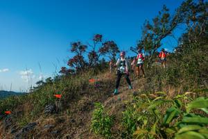 BIB: 
                            <button type="button" onclick="openModal(28098958)" class="btn btn-primary btn-sm float-right btn-popup" data-toggle="modal" data-target=".modal-high-quality">
                        <i class="fas fa-shopping-cart"></i> Add to Cart
                    </button>
                                            <button type="button" onclick="isThisMe(28098958, true)" class="btn btn-success btn-sm float-right btn-popup btn-isme hidden" data-toggle="tooltip" data-placement="bottom" title="นี่คือรูปของคุณใช่ไหม คลิกที่นี่เพื่อเอาเข้าอัลบั้ม">
                        <i class="fas fa-plus"></i> Add to album
                    </button>
                    <button type="button" onclick="isThisMe(28098958, false)" class="btn btn-warning btn-sm float-right btn-popup btn-isnotme hidden">
                        <i class="fas fa-ban"></i> Remove from album
                    </button>