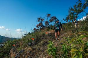 BIB: 
                            <button type="button" onclick="openModal(28099051)" class="btn btn-primary btn-sm float-right btn-popup" data-toggle="modal" data-target=".modal-high-quality">
                        <i class="fas fa-shopping-cart"></i> Add to Cart
                    </button>
                                            <button type="button" onclick="isThisMe(28099051, true)" class="btn btn-success btn-sm float-right btn-popup btn-isme hidden" data-toggle="tooltip" data-placement="bottom" title="นี่คือรูปของคุณใช่ไหม คลิกที่นี่เพื่อเอาเข้าอัลบั้ม">
                        <i class="fas fa-plus"></i> Add to album
                    </button>
                    <button type="button" onclick="isThisMe(28099051, false)" class="btn btn-warning btn-sm float-right btn-popup btn-isnotme hidden">
                        <i class="fas fa-ban"></i> Remove from album
                    </button>