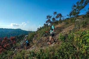 BIB: 
                            <button type="button" onclick="openModal(28098669)" class="btn btn-primary btn-sm float-right btn-popup" data-toggle="modal" data-target=".modal-high-quality">
                        <i class="fas fa-shopping-cart"></i> Add to Cart
                    </button>
                                            <button type="button" onclick="isThisMe(28098669, true)" class="btn btn-success btn-sm float-right btn-popup btn-isme hidden" data-toggle="tooltip" data-placement="bottom" title="นี่คือรูปของคุณใช่ไหม คลิกที่นี่เพื่อเอาเข้าอัลบั้ม">
                        <i class="fas fa-plus"></i> Add to album
                    </button>
                    <button type="button" onclick="isThisMe(28098669, false)" class="btn btn-warning btn-sm float-right btn-popup btn-isnotme hidden">
                        <i class="fas fa-ban"></i> Remove from album
                    </button>