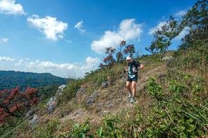 BIB: 
                            <button type="button" onclick="openModal(28096507)" class="btn btn-primary btn-sm float-right btn-popup" data-toggle="modal" data-target=".modal-high-quality">
                        <i class="fas fa-shopping-cart"></i> Add to Cart
                    </button>
                                            <button type="button" onclick="isThisMe(28096507, true)" class="btn btn-success btn-sm float-right btn-popup btn-isme hidden" data-toggle="tooltip" data-placement="bottom" title="นี่คือรูปของคุณใช่ไหม คลิกที่นี่เพื่อเอาเข้าอัลบั้ม">
                        <i class="fas fa-plus"></i> Add to album
                    </button>
                    <button type="button" onclick="isThisMe(28096507, false)" class="btn btn-warning btn-sm float-right btn-popup btn-isnotme hidden">
                        <i class="fas fa-ban"></i> Remove from album
                    </button>