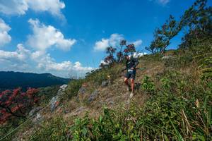 BIB: 
                            <button type="button" onclick="openModal(28096088)" class="btn btn-primary btn-sm float-right btn-popup" data-toggle="modal" data-target=".modal-high-quality">
                        <i class="fas fa-shopping-cart"></i> Add to Cart
                    </button>
                                            <button type="button" onclick="isThisMe(28096088, true)" class="btn btn-success btn-sm float-right btn-popup btn-isme hidden" data-toggle="tooltip" data-placement="bottom" title="นี่คือรูปของคุณใช่ไหม คลิกที่นี่เพื่อเอาเข้าอัลบั้ม">
                        <i class="fas fa-plus"></i> Add to album
                    </button>
                    <button type="button" onclick="isThisMe(28096088, false)" class="btn btn-warning btn-sm float-right btn-popup btn-isnotme hidden">
                        <i class="fas fa-ban"></i> Remove from album
                    </button>