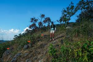 BIB: 
                            <button type="button" onclick="openModal(28096744)" class="btn btn-primary btn-sm float-right btn-popup" data-toggle="modal" data-target=".modal-high-quality">
                        <i class="fas fa-shopping-cart"></i> Add to Cart
                    </button>
                                            <button type="button" onclick="isThisMe(28096744, true)" class="btn btn-success btn-sm float-right btn-popup btn-isme hidden" data-toggle="tooltip" data-placement="bottom" title="นี่คือรูปของคุณใช่ไหม คลิกที่นี่เพื่อเอาเข้าอัลบั้ม">
                        <i class="fas fa-plus"></i> Add to album
                    </button>
                    <button type="button" onclick="isThisMe(28096744, false)" class="btn btn-warning btn-sm float-right btn-popup btn-isnotme hidden">
                        <i class="fas fa-ban"></i> Remove from album
                    </button>