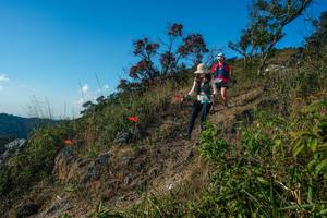 BIB: 
                            <button type="button" onclick="openModal(28098783)" class="btn btn-primary btn-sm float-right btn-popup" data-toggle="modal" data-target=".modal-high-quality">
                        <i class="fas fa-shopping-cart"></i> Add to Cart
                    </button>
                                            <button type="button" onclick="isThisMe(28098783, true)" class="btn btn-success btn-sm float-right btn-popup btn-isme hidden" data-toggle="tooltip" data-placement="bottom" title="นี่คือรูปของคุณใช่ไหม คลิกที่นี่เพื่อเอาเข้าอัลบั้ม">
                        <i class="fas fa-plus"></i> Add to album
                    </button>
                    <button type="button" onclick="isThisMe(28098783, false)" class="btn btn-warning btn-sm float-right btn-popup btn-isnotme hidden">
                        <i class="fas fa-ban"></i> Remove from album
                    </button>