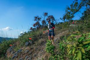 BIB: 
                            <button type="button" onclick="openModal(28098203)" class="btn btn-primary btn-sm float-right btn-popup" data-toggle="modal" data-target=".modal-high-quality">
                        <i class="fas fa-shopping-cart"></i> Add to Cart
                    </button>
                                            <button type="button" onclick="isThisMe(28098203, true)" class="btn btn-success btn-sm float-right btn-popup btn-isme hidden" data-toggle="tooltip" data-placement="bottom" title="นี่คือรูปของคุณใช่ไหม คลิกที่นี่เพื่อเอาเข้าอัลบั้ม">
                        <i class="fas fa-plus"></i> Add to album
                    </button>
                    <button type="button" onclick="isThisMe(28098203, false)" class="btn btn-warning btn-sm float-right btn-popup btn-isnotme hidden">
                        <i class="fas fa-ban"></i> Remove from album
                    </button>