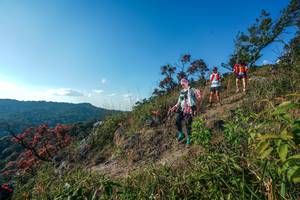 BIB: 
                            <button type="button" onclick="openModal(28098962)" class="btn btn-primary btn-sm float-right btn-popup" data-toggle="modal" data-target=".modal-high-quality">
                        <i class="fas fa-shopping-cart"></i> Add to Cart
                    </button>
                                            <button type="button" onclick="isThisMe(28098962, true)" class="btn btn-success btn-sm float-right btn-popup btn-isme hidden" data-toggle="tooltip" data-placement="bottom" title="นี่คือรูปของคุณใช่ไหม คลิกที่นี่เพื่อเอาเข้าอัลบั้ม">
                        <i class="fas fa-plus"></i> Add to album
                    </button>
                    <button type="button" onclick="isThisMe(28098962, false)" class="btn btn-warning btn-sm float-right btn-popup btn-isnotme hidden">
                        <i class="fas fa-ban"></i> Remove from album
                    </button>