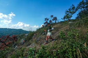 BIB: 
                            <button type="button" onclick="openModal(28096746)" class="btn btn-primary btn-sm float-right btn-popup" data-toggle="modal" data-target=".modal-high-quality">
                        <i class="fas fa-shopping-cart"></i> Add to Cart
                    </button>
                                            <button type="button" onclick="isThisMe(28096746, true)" class="btn btn-success btn-sm float-right btn-popup btn-isme hidden" data-toggle="tooltip" data-placement="bottom" title="นี่คือรูปของคุณใช่ไหม คลิกที่นี่เพื่อเอาเข้าอัลบั้ม">
                        <i class="fas fa-plus"></i> Add to album
                    </button>
                    <button type="button" onclick="isThisMe(28096746, false)" class="btn btn-warning btn-sm float-right btn-popup btn-isnotme hidden">
                        <i class="fas fa-ban"></i> Remove from album
                    </button>