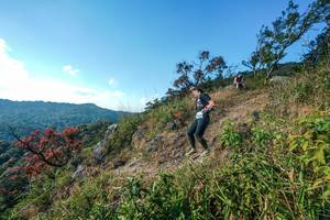 BIB: 
                            <button type="button" onclick="openModal(28098388)" class="btn btn-primary btn-sm float-right btn-popup" data-toggle="modal" data-target=".modal-high-quality">
                        <i class="fas fa-shopping-cart"></i> Add to Cart
                    </button>
                                            <button type="button" onclick="isThisMe(28098388, true)" class="btn btn-success btn-sm float-right btn-popup btn-isme hidden" data-toggle="tooltip" data-placement="bottom" title="นี่คือรูปของคุณใช่ไหม คลิกที่นี่เพื่อเอาเข้าอัลบั้ม">
                        <i class="fas fa-plus"></i> Add to album
                    </button>
                    <button type="button" onclick="isThisMe(28098388, false)" class="btn btn-warning btn-sm float-right btn-popup btn-isnotme hidden">
                        <i class="fas fa-ban"></i> Remove from album
                    </button>