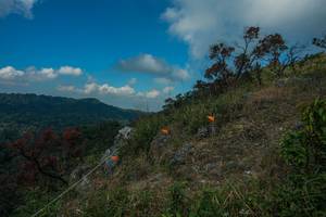 BIB: 
                            <button type="button" onclick="openModal(28095773)" class="btn btn-primary btn-sm float-right btn-popup" data-toggle="modal" data-target=".modal-high-quality">
                        <i class="fas fa-shopping-cart"></i> Add to Cart
                    </button>
                                            <button type="button" onclick="isThisMe(28095773, true)" class="btn btn-success btn-sm float-right btn-popup btn-isme hidden" data-toggle="tooltip" data-placement="bottom" title="นี่คือรูปของคุณใช่ไหม คลิกที่นี่เพื่อเอาเข้าอัลบั้ม">
                        <i class="fas fa-plus"></i> Add to album
                    </button>
                    <button type="button" onclick="isThisMe(28095773, false)" class="btn btn-warning btn-sm float-right btn-popup btn-isnotme hidden">
                        <i class="fas fa-ban"></i> Remove from album
                    </button>