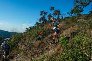 BIB: 
                            <button type="button" onclick="openModal(28098838)" class="btn btn-primary btn-sm float-right btn-popup" data-toggle="modal" data-target=".modal-high-quality">
                        <i class="fas fa-shopping-cart"></i> Add to Cart
                    </button>
                                            <button type="button" onclick="isThisMe(28098838, true)" class="btn btn-success btn-sm float-right btn-popup btn-isme hidden" data-toggle="tooltip" data-placement="bottom" title="นี่คือรูปของคุณใช่ไหม คลิกที่นี่เพื่อเอาเข้าอัลบั้ม">
                        <i class="fas fa-plus"></i> Add to album
                    </button>
                    <button type="button" onclick="isThisMe(28098838, false)" class="btn btn-warning btn-sm float-right btn-popup btn-isnotme hidden">
                        <i class="fas fa-ban"></i> Remove from album
                    </button>