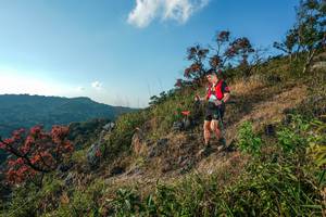 BIB: 
                            <button type="button" onclick="openModal(28099360)" class="btn btn-primary btn-sm float-right btn-popup" data-toggle="modal" data-target=".modal-high-quality">
                        <i class="fas fa-shopping-cart"></i> Add to Cart
                    </button>
                                            <button type="button" onclick="isThisMe(28099360, true)" class="btn btn-success btn-sm float-right btn-popup btn-isme hidden" data-toggle="tooltip" data-placement="bottom" title="นี่คือรูปของคุณใช่ไหม คลิกที่นี่เพื่อเอาเข้าอัลบั้ม">
                        <i class="fas fa-plus"></i> Add to album
                    </button>
                    <button type="button" onclick="isThisMe(28099360, false)" class="btn btn-warning btn-sm float-right btn-popup btn-isnotme hidden">
                        <i class="fas fa-ban"></i> Remove from album
                    </button>