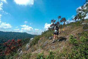 BIB: 
                            <button type="button" onclick="openModal(28096161)" class="btn btn-primary btn-sm float-right btn-popup" data-toggle="modal" data-target=".modal-high-quality">
                        <i class="fas fa-shopping-cart"></i> Add to Cart
                    </button>
                                            <button type="button" onclick="isThisMe(28096161, true)" class="btn btn-success btn-sm float-right btn-popup btn-isme hidden" data-toggle="tooltip" data-placement="bottom" title="นี่คือรูปของคุณใช่ไหม คลิกที่นี่เพื่อเอาเข้าอัลบั้ม">
                        <i class="fas fa-plus"></i> Add to album
                    </button>
                    <button type="button" onclick="isThisMe(28096161, false)" class="btn btn-warning btn-sm float-right btn-popup btn-isnotme hidden">
                        <i class="fas fa-ban"></i> Remove from album
                    </button>