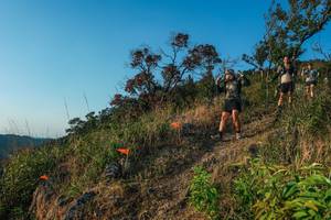 BIB: 
                            <button type="button" onclick="openModal(28099451)" class="btn btn-primary btn-sm float-right btn-popup" data-toggle="modal" data-target=".modal-high-quality">
                        <i class="fas fa-shopping-cart"></i> Add to Cart
                    </button>
                                            <button type="button" onclick="isThisMe(28099451, true)" class="btn btn-success btn-sm float-right btn-popup btn-isme hidden" data-toggle="tooltip" data-placement="bottom" title="นี่คือรูปของคุณใช่ไหม คลิกที่นี่เพื่อเอาเข้าอัลบั้ม">
                        <i class="fas fa-plus"></i> Add to album
                    </button>
                    <button type="button" onclick="isThisMe(28099451, false)" class="btn btn-warning btn-sm float-right btn-popup btn-isnotme hidden">
                        <i class="fas fa-ban"></i> Remove from album
                    </button>