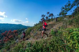 BIB: 
                            <button type="button" onclick="openModal(28098276)" class="btn btn-primary btn-sm float-right btn-popup" data-toggle="modal" data-target=".modal-high-quality">
                        <i class="fas fa-shopping-cart"></i> Add to Cart
                    </button>
                                            <button type="button" onclick="isThisMe(28098276, true)" class="btn btn-success btn-sm float-right btn-popup btn-isme hidden" data-toggle="tooltip" data-placement="bottom" title="นี่คือรูปของคุณใช่ไหม คลิกที่นี่เพื่อเอาเข้าอัลบั้ม">
                        <i class="fas fa-plus"></i> Add to album
                    </button>
                    <button type="button" onclick="isThisMe(28098276, false)" class="btn btn-warning btn-sm float-right btn-popup btn-isnotme hidden">
                        <i class="fas fa-ban"></i> Remove from album
                    </button>