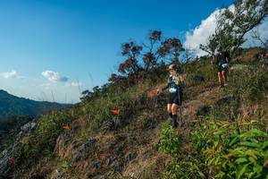 BIB: 
                            <button type="button" onclick="openModal(28099113)" class="btn btn-primary btn-sm float-right btn-popup" data-toggle="modal" data-target=".modal-high-quality">
                        <i class="fas fa-shopping-cart"></i> Add to Cart
                    </button>
                                            <button type="button" onclick="isThisMe(28099113, true)" class="btn btn-success btn-sm float-right btn-popup btn-isme hidden" data-toggle="tooltip" data-placement="bottom" title="นี่คือรูปของคุณใช่ไหม คลิกที่นี่เพื่อเอาเข้าอัลบั้ม">
                        <i class="fas fa-plus"></i> Add to album
                    </button>
                    <button type="button" onclick="isThisMe(28099113, false)" class="btn btn-warning btn-sm float-right btn-popup btn-isnotme hidden">
                        <i class="fas fa-ban"></i> Remove from album
                    </button>