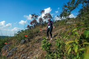 BIB: 
                            <button type="button" onclick="openModal(28097465)" class="btn btn-primary btn-sm float-right btn-popup" data-toggle="modal" data-target=".modal-high-quality">
                        <i class="fas fa-shopping-cart"></i> Add to Cart
                    </button>
                                            <button type="button" onclick="isThisMe(28097465, true)" class="btn btn-success btn-sm float-right btn-popup btn-isme hidden" data-toggle="tooltip" data-placement="bottom" title="นี่คือรูปของคุณใช่ไหม คลิกที่นี่เพื่อเอาเข้าอัลบั้ม">
                        <i class="fas fa-plus"></i> Add to album
                    </button>
                    <button type="button" onclick="isThisMe(28097465, false)" class="btn btn-warning btn-sm float-right btn-popup btn-isnotme hidden">
                        <i class="fas fa-ban"></i> Remove from album
                    </button>