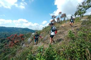 BIB: 
                            <button type="button" onclick="openModal(28096203)" class="btn btn-primary btn-sm float-right btn-popup" data-toggle="modal" data-target=".modal-high-quality">
                        <i class="fas fa-shopping-cart"></i> Add to Cart
                    </button>
                                            <button type="button" onclick="isThisMe(28096203, true)" class="btn btn-success btn-sm float-right btn-popup btn-isme hidden" data-toggle="tooltip" data-placement="bottom" title="นี่คือรูปของคุณใช่ไหม คลิกที่นี่เพื่อเอาเข้าอัลบั้ม">
                        <i class="fas fa-plus"></i> Add to album
                    </button>
                    <button type="button" onclick="isThisMe(28096203, false)" class="btn btn-warning btn-sm float-right btn-popup btn-isnotme hidden">
                        <i class="fas fa-ban"></i> Remove from album
                    </button>