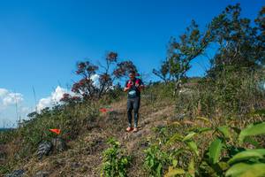 BIB: 
                            <button type="button" onclick="openModal(28097159)" class="btn btn-primary btn-sm float-right btn-popup" data-toggle="modal" data-target=".modal-high-quality">
                        <i class="fas fa-shopping-cart"></i> Add to Cart
                    </button>
                                            <button type="button" onclick="isThisMe(28097159, true)" class="btn btn-success btn-sm float-right btn-popup btn-isme hidden" data-toggle="tooltip" data-placement="bottom" title="นี่คือรูปของคุณใช่ไหม คลิกที่นี่เพื่อเอาเข้าอัลบั้ม">
                        <i class="fas fa-plus"></i> Add to album
                    </button>
                    <button type="button" onclick="isThisMe(28097159, false)" class="btn btn-warning btn-sm float-right btn-popup btn-isnotme hidden">
                        <i class="fas fa-ban"></i> Remove from album
                    </button>