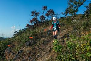 BIB: 
                            <button type="button" onclick="openModal(28098821)" class="btn btn-primary btn-sm float-right btn-popup" data-toggle="modal" data-target=".modal-high-quality">
                        <i class="fas fa-shopping-cart"></i> Add to Cart
                    </button>
                                            <button type="button" onclick="isThisMe(28098821, true)" class="btn btn-success btn-sm float-right btn-popup btn-isme hidden" data-toggle="tooltip" data-placement="bottom" title="นี่คือรูปของคุณใช่ไหม คลิกที่นี่เพื่อเอาเข้าอัลบั้ม">
                        <i class="fas fa-plus"></i> Add to album
                    </button>
                    <button type="button" onclick="isThisMe(28098821, false)" class="btn btn-warning btn-sm float-right btn-popup btn-isnotme hidden">
                        <i class="fas fa-ban"></i> Remove from album
                    </button>