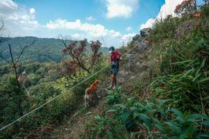 BIB: 
                            <button type="button" onclick="openModal(28095920)" class="btn btn-primary btn-sm float-right btn-popup" data-toggle="modal" data-target=".modal-high-quality">
                        <i class="fas fa-shopping-cart"></i> Add to Cart
                    </button>
                                            <button type="button" onclick="isThisMe(28095920, true)" class="btn btn-success btn-sm float-right btn-popup btn-isme hidden" data-toggle="tooltip" data-placement="bottom" title="นี่คือรูปของคุณใช่ไหม คลิกที่นี่เพื่อเอาเข้าอัลบั้ม">
                        <i class="fas fa-plus"></i> Add to album
                    </button>
                    <button type="button" onclick="isThisMe(28095920, false)" class="btn btn-warning btn-sm float-right btn-popup btn-isnotme hidden">
                        <i class="fas fa-ban"></i> Remove from album
                    </button>