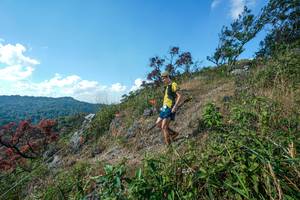 BIB: 
                            <button type="button" onclick="openModal(28096791)" class="btn btn-primary btn-sm float-right btn-popup" data-toggle="modal" data-target=".modal-high-quality">
                        <i class="fas fa-shopping-cart"></i> Add to Cart
                    </button>
                                            <button type="button" onclick="isThisMe(28096791, true)" class="btn btn-success btn-sm float-right btn-popup btn-isme hidden" data-toggle="tooltip" data-placement="bottom" title="นี่คือรูปของคุณใช่ไหม คลิกที่นี่เพื่อเอาเข้าอัลบั้ม">
                        <i class="fas fa-plus"></i> Add to album
                    </button>
                    <button type="button" onclick="isThisMe(28096791, false)" class="btn btn-warning btn-sm float-right btn-popup btn-isnotme hidden">
                        <i class="fas fa-ban"></i> Remove from album
                    </button>