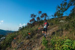 BIB: 
                            <button type="button" onclick="openModal(28098716)" class="btn btn-primary btn-sm float-right btn-popup" data-toggle="modal" data-target=".modal-high-quality">
                        <i class="fas fa-shopping-cart"></i> Add to Cart
                    </button>
                                            <button type="button" onclick="isThisMe(28098716, true)" class="btn btn-success btn-sm float-right btn-popup btn-isme hidden" data-toggle="tooltip" data-placement="bottom" title="นี่คือรูปของคุณใช่ไหม คลิกที่นี่เพื่อเอาเข้าอัลบั้ม">
                        <i class="fas fa-plus"></i> Add to album
                    </button>
                    <button type="button" onclick="isThisMe(28098716, false)" class="btn btn-warning btn-sm float-right btn-popup btn-isnotme hidden">
                        <i class="fas fa-ban"></i> Remove from album
                    </button>