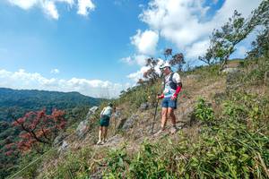 BIB: 
                            <button type="button" onclick="openModal(28096452)" class="btn btn-primary btn-sm float-right btn-popup" data-toggle="modal" data-target=".modal-high-quality">
                        <i class="fas fa-shopping-cart"></i> Add to Cart
                    </button>
                                            <button type="button" onclick="isThisMe(28096452, true)" class="btn btn-success btn-sm float-right btn-popup btn-isme hidden" data-toggle="tooltip" data-placement="bottom" title="นี่คือรูปของคุณใช่ไหม คลิกที่นี่เพื่อเอาเข้าอัลบั้ม">
                        <i class="fas fa-plus"></i> Add to album
                    </button>
                    <button type="button" onclick="isThisMe(28096452, false)" class="btn btn-warning btn-sm float-right btn-popup btn-isnotme hidden">
                        <i class="fas fa-ban"></i> Remove from album
                    </button>