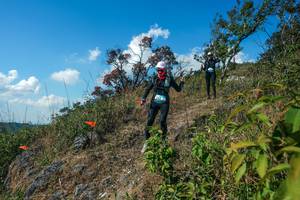 BIB: 
                            <button type="button" onclick="openModal(28097525)" class="btn btn-primary btn-sm float-right btn-popup" data-toggle="modal" data-target=".modal-high-quality">
                        <i class="fas fa-shopping-cart"></i> Add to Cart
                    </button>
                                            <button type="button" onclick="isThisMe(28097525, true)" class="btn btn-success btn-sm float-right btn-popup btn-isme hidden" data-toggle="tooltip" data-placement="bottom" title="นี่คือรูปของคุณใช่ไหม คลิกที่นี่เพื่อเอาเข้าอัลบั้ม">
                        <i class="fas fa-plus"></i> Add to album
                    </button>
                    <button type="button" onclick="isThisMe(28097525, false)" class="btn btn-warning btn-sm float-right btn-popup btn-isnotme hidden">
                        <i class="fas fa-ban"></i> Remove from album
                    </button>