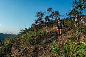 BIB: 
                            <button type="button" onclick="openModal(28099460)" class="btn btn-primary btn-sm float-right btn-popup" data-toggle="modal" data-target=".modal-high-quality">
                        <i class="fas fa-shopping-cart"></i> Add to Cart
                    </button>
                                            <button type="button" onclick="isThisMe(28099460, true)" class="btn btn-success btn-sm float-right btn-popup btn-isme hidden" data-toggle="tooltip" data-placement="bottom" title="นี่คือรูปของคุณใช่ไหม คลิกที่นี่เพื่อเอาเข้าอัลบั้ม">
                        <i class="fas fa-plus"></i> Add to album
                    </button>
                    <button type="button" onclick="isThisMe(28099460, false)" class="btn btn-warning btn-sm float-right btn-popup btn-isnotme hidden">
                        <i class="fas fa-ban"></i> Remove from album
                    </button>