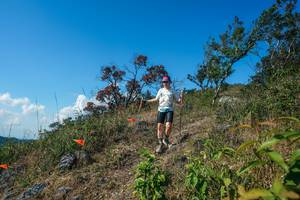 BIB: 
                            <button type="button" onclick="openModal(28097184)" class="btn btn-primary btn-sm float-right btn-popup" data-toggle="modal" data-target=".modal-high-quality">
                        <i class="fas fa-shopping-cart"></i> Add to Cart
                    </button>
                                            <button type="button" onclick="isThisMe(28097184, true)" class="btn btn-success btn-sm float-right btn-popup btn-isme hidden" data-toggle="tooltip" data-placement="bottom" title="นี่คือรูปของคุณใช่ไหม คลิกที่นี่เพื่อเอาเข้าอัลบั้ม">
                        <i class="fas fa-plus"></i> Add to album
                    </button>
                    <button type="button" onclick="isThisMe(28097184, false)" class="btn btn-warning btn-sm float-right btn-popup btn-isnotme hidden">
                        <i class="fas fa-ban"></i> Remove from album
                    </button>