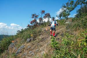 BIB: 
                            <button type="button" onclick="openModal(28096346)" class="btn btn-primary btn-sm float-right btn-popup" data-toggle="modal" data-target=".modal-high-quality">
                        <i class="fas fa-shopping-cart"></i> Add to Cart
                    </button>
                                            <button type="button" onclick="isThisMe(28096346, true)" class="btn btn-success btn-sm float-right btn-popup btn-isme hidden" data-toggle="tooltip" data-placement="bottom" title="นี่คือรูปของคุณใช่ไหม คลิกที่นี่เพื่อเอาเข้าอัลบั้ม">
                        <i class="fas fa-plus"></i> Add to album
                    </button>
                    <button type="button" onclick="isThisMe(28096346, false)" class="btn btn-warning btn-sm float-right btn-popup btn-isnotme hidden">
                        <i class="fas fa-ban"></i> Remove from album
                    </button>