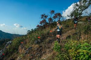 BIB: 
                            <button type="button" onclick="openModal(28099112)" class="btn btn-primary btn-sm float-right btn-popup" data-toggle="modal" data-target=".modal-high-quality">
                        <i class="fas fa-shopping-cart"></i> Add to Cart
                    </button>
                                            <button type="button" onclick="isThisMe(28099112, true)" class="btn btn-success btn-sm float-right btn-popup btn-isme hidden" data-toggle="tooltip" data-placement="bottom" title="นี่คือรูปของคุณใช่ไหม คลิกที่นี่เพื่อเอาเข้าอัลบั้ม">
                        <i class="fas fa-plus"></i> Add to album
                    </button>
                    <button type="button" onclick="isThisMe(28099112, false)" class="btn btn-warning btn-sm float-right btn-popup btn-isnotme hidden">
                        <i class="fas fa-ban"></i> Remove from album
                    </button>