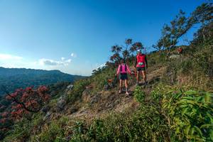 BIB: 
                            <button type="button" onclick="openModal(28098703)" class="btn btn-primary btn-sm float-right btn-popup" data-toggle="modal" data-target=".modal-high-quality">
                        <i class="fas fa-shopping-cart"></i> Add to Cart
                    </button>
                                            <button type="button" onclick="isThisMe(28098703, true)" class="btn btn-success btn-sm float-right btn-popup btn-isme hidden" data-toggle="tooltip" data-placement="bottom" title="นี่คือรูปของคุณใช่ไหม คลิกที่นี่เพื่อเอาเข้าอัลบั้ม">
                        <i class="fas fa-plus"></i> Add to album
                    </button>
                    <button type="button" onclick="isThisMe(28098703, false)" class="btn btn-warning btn-sm float-right btn-popup btn-isnotme hidden">
                        <i class="fas fa-ban"></i> Remove from album
                    </button>