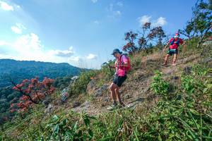 BIB: 
                            <button type="button" onclick="openModal(28098067)" class="btn btn-primary btn-sm float-right btn-popup" data-toggle="modal" data-target=".modal-high-quality">
                        <i class="fas fa-shopping-cart"></i> Add to Cart
                    </button>
                                            <button type="button" onclick="isThisMe(28098067, true)" class="btn btn-success btn-sm float-right btn-popup btn-isme hidden" data-toggle="tooltip" data-placement="bottom" title="นี่คือรูปของคุณใช่ไหม คลิกที่นี่เพื่อเอาเข้าอัลบั้ม">
                        <i class="fas fa-plus"></i> Add to album
                    </button>
                    <button type="button" onclick="isThisMe(28098067, false)" class="btn btn-warning btn-sm float-right btn-popup btn-isnotme hidden">
                        <i class="fas fa-ban"></i> Remove from album
                    </button>