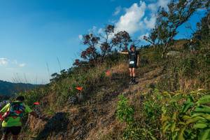 BIB: 
                            <button type="button" onclick="openModal(28099284)" class="btn btn-primary btn-sm float-right btn-popup" data-toggle="modal" data-target=".modal-high-quality">
                        <i class="fas fa-shopping-cart"></i> Add to Cart
                    </button>
                                            <button type="button" onclick="isThisMe(28099284, true)" class="btn btn-success btn-sm float-right btn-popup btn-isme hidden" data-toggle="tooltip" data-placement="bottom" title="นี่คือรูปของคุณใช่ไหม คลิกที่นี่เพื่อเอาเข้าอัลบั้ม">
                        <i class="fas fa-plus"></i> Add to album
                    </button>
                    <button type="button" onclick="isThisMe(28099284, false)" class="btn btn-warning btn-sm float-right btn-popup btn-isnotme hidden">
                        <i class="fas fa-ban"></i> Remove from album
                    </button>