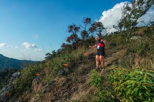 BIB: 
                            <button type="button" onclick="openModal(28099152)" class="btn btn-primary btn-sm float-right btn-popup" data-toggle="modal" data-target=".modal-high-quality">
                        <i class="fas fa-shopping-cart"></i> Add to Cart
                    </button>
                                            <button type="button" onclick="isThisMe(28099152, true)" class="btn btn-success btn-sm float-right btn-popup btn-isme hidden" data-toggle="tooltip" data-placement="bottom" title="นี่คือรูปของคุณใช่ไหม คลิกที่นี่เพื่อเอาเข้าอัลบั้ม">
                        <i class="fas fa-plus"></i> Add to album
                    </button>
                    <button type="button" onclick="isThisMe(28099152, false)" class="btn btn-warning btn-sm float-right btn-popup btn-isnotme hidden">
                        <i class="fas fa-ban"></i> Remove from album
                    </button>