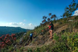 BIB: 
                            <button type="button" onclick="openModal(28099089)" class="btn btn-primary btn-sm float-right btn-popup" data-toggle="modal" data-target=".modal-high-quality">
                        <i class="fas fa-shopping-cart"></i> Add to Cart
                    </button>
                                            <button type="button" onclick="isThisMe(28099089, true)" class="btn btn-success btn-sm float-right btn-popup btn-isme hidden" data-toggle="tooltip" data-placement="bottom" title="นี่คือรูปของคุณใช่ไหม คลิกที่นี่เพื่อเอาเข้าอัลบั้ม">
                        <i class="fas fa-plus"></i> Add to album
                    </button>
                    <button type="button" onclick="isThisMe(28099089, false)" class="btn btn-warning btn-sm float-right btn-popup btn-isnotme hidden">
                        <i class="fas fa-ban"></i> Remove from album
                    </button>