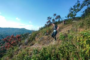 BIB: 
                            <button type="button" onclick="openModal(28098385)" class="btn btn-primary btn-sm float-right btn-popup" data-toggle="modal" data-target=".modal-high-quality">
                        <i class="fas fa-shopping-cart"></i> Add to Cart
                    </button>
                                            <button type="button" onclick="isThisMe(28098385, true)" class="btn btn-success btn-sm float-right btn-popup btn-isme hidden" data-toggle="tooltip" data-placement="bottom" title="นี่คือรูปของคุณใช่ไหม คลิกที่นี่เพื่อเอาเข้าอัลบั้ม">
                        <i class="fas fa-plus"></i> Add to album
                    </button>
                    <button type="button" onclick="isThisMe(28098385, false)" class="btn btn-warning btn-sm float-right btn-popup btn-isnotme hidden">
                        <i class="fas fa-ban"></i> Remove from album
                    </button>