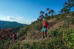 BIB: 
                            <button type="button" onclick="openModal(28098711)" class="btn btn-primary btn-sm float-right btn-popup" data-toggle="modal" data-target=".modal-high-quality">
                        <i class="fas fa-shopping-cart"></i> Add to Cart
                    </button>
                                            <button type="button" onclick="isThisMe(28098711, true)" class="btn btn-success btn-sm float-right btn-popup btn-isme hidden" data-toggle="tooltip" data-placement="bottom" title="นี่คือรูปของคุณใช่ไหม คลิกที่นี่เพื่อเอาเข้าอัลบั้ม">
                        <i class="fas fa-plus"></i> Add to album
                    </button>
                    <button type="button" onclick="isThisMe(28098711, false)" class="btn btn-warning btn-sm float-right btn-popup btn-isnotme hidden">
                        <i class="fas fa-ban"></i> Remove from album
                    </button>