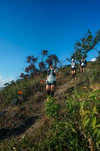 BIB: 
                            <button type="button" onclick="openModal(28098891)" class="btn btn-primary btn-sm float-right btn-popup" data-toggle="modal" data-target=".modal-high-quality">
                        <i class="fas fa-shopping-cart"></i> Add to Cart
                    </button>
                                            <button type="button" onclick="isThisMe(28098891, true)" class="btn btn-success btn-sm float-right btn-popup btn-isme hidden" data-toggle="tooltip" data-placement="bottom" title="นี่คือรูปของคุณใช่ไหม คลิกที่นี่เพื่อเอาเข้าอัลบั้ม">
                        <i class="fas fa-plus"></i> Add to album
                    </button>
                    <button type="button" onclick="isThisMe(28098891, false)" class="btn btn-warning btn-sm float-right btn-popup btn-isnotme hidden">
                        <i class="fas fa-ban"></i> Remove from album
                    </button>