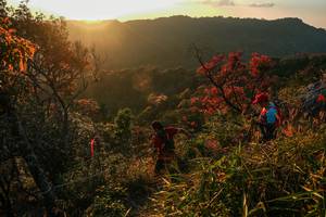 BIB: 
                            <button type="button" onclick="openModal(28099739)" class="btn btn-primary btn-sm float-right btn-popup" data-toggle="modal" data-target=".modal-high-quality">
                        <i class="fas fa-shopping-cart"></i> Add to Cart
                    </button>
                                            <button type="button" onclick="isThisMe(28099739, true)" class="btn btn-success btn-sm float-right btn-popup btn-isme hidden" data-toggle="tooltip" data-placement="bottom" title="นี่คือรูปของคุณใช่ไหม คลิกที่นี่เพื่อเอาเข้าอัลบั้ม">
                        <i class="fas fa-plus"></i> Add to album
                    </button>
                    <button type="button" onclick="isThisMe(28099739, false)" class="btn btn-warning btn-sm float-right btn-popup btn-isnotme hidden">
                        <i class="fas fa-ban"></i> Remove from album
                    </button>